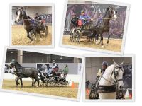 5-Senza-titolo111 (1)