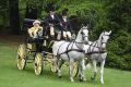 DSC 7265.JPG
