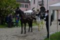 DSC 8285.JPG