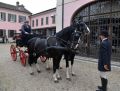 DSC 8323.JPG