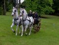 DSC 8370.JPG