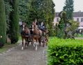 DSC 8378.JPG