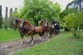 DSC 8388.JPG