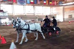 IMG-4WA0004 (1)